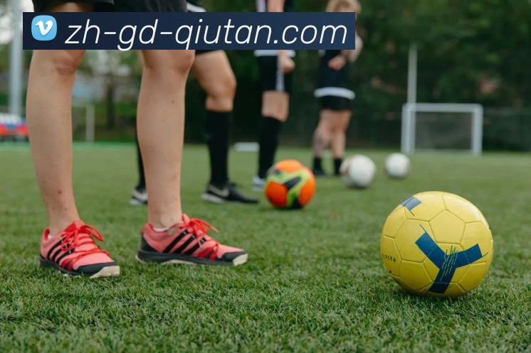 球探体育服务体系